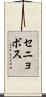 セニョボス Scroll