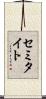 セミタイト Scroll