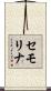 セモリナ Scroll