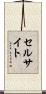 セルサイト Scroll