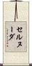 セルヌーダ Scroll