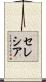 セレシア Scroll