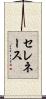 セレネース Scroll