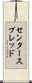 センター・スプレッド Scroll
