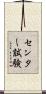 センター試験 Scroll