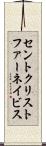 セントクリストファー・ネイビス Scroll