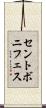 セントボニフェス Scroll