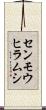 センモウヒラムシ Scroll