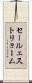 セールェストリョーム Scroll