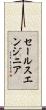 セールス・エンジニア Scroll