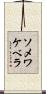 ソメワケベラ Scroll