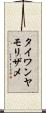 タイワンヤモリザメ Scroll