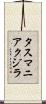 タスマニアクジラ Scroll