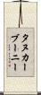 タヌカーブーニー Scroll