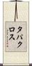 タパクロス Scroll