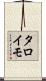 タロイモ Scroll