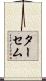 ターセム Scroll