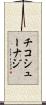 チコシューナジ Scroll