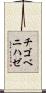 チゴベニハゼ Scroll