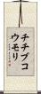 チチブコウモリ Scroll