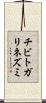チビトガリネズミ Scroll