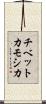 チベットカモシカ Scroll