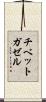 チベットガゼル Scroll
