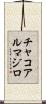 チャコアルマジロ Scroll