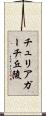 チュリアガーチ丘陵 Scroll