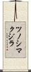 ツノシマクジラ Scroll