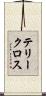 テリークロス Scroll