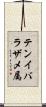 テンイバラザメ属 Scroll