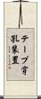 テープ穿孔装置 Scroll