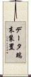 データ端末装置 Scroll