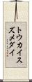 トウカイスズメダイ Scroll