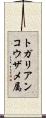 トガリアンコウザメ属 Scroll