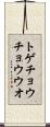 トゲチョウチョウウオ Scroll