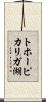 トホーピカリガ湖 Scroll