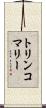 トリンコマリー Scroll