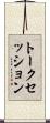 トークセッション Scroll