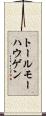 トールモーハウゲン Scroll