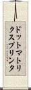 ドット・マトリクス・プリンタ Scroll