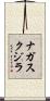 ナガスクジラ Scroll