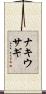 ナキウサギ Scroll
