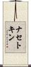 ナセトキン Scroll