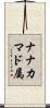 ナナカマド属 Scroll