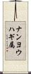 ナンヨウハギ属 Scroll
