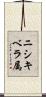 ニシキベラ属 Scroll