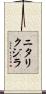 ニタリクジラ Scroll