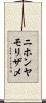 ニホンヤモリザメ Scroll